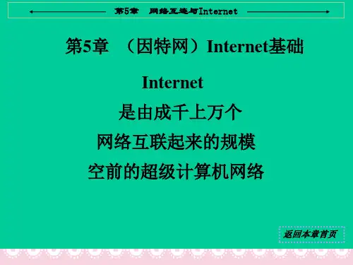 计算机等级考试三级网络教程第5章 因特网基础