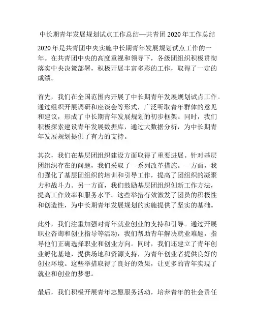 中长期青年发展规划试点工作总结—共青团2020年工作总结