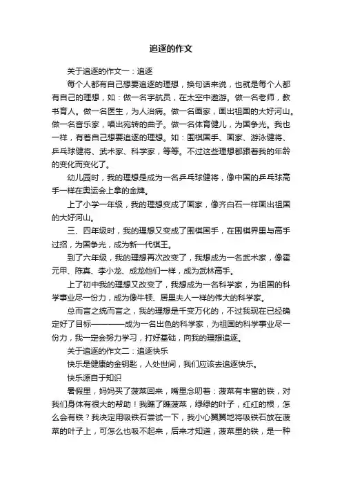 追逐的作文