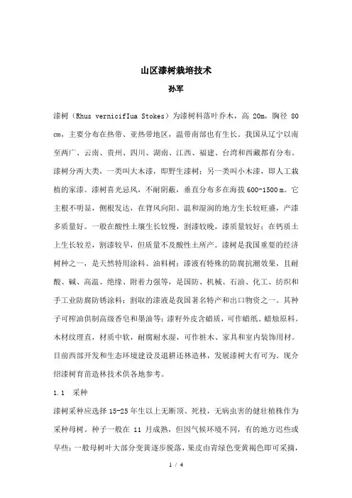 漆树栽培技术