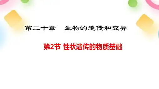 北师大版生物学八年级上册20.2-性状遗传的物质基础
