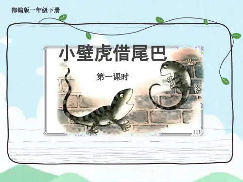 小壁虎借尾巴-ppt课件