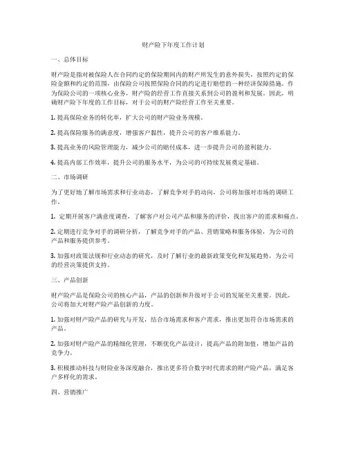 财产险下年度工作计划