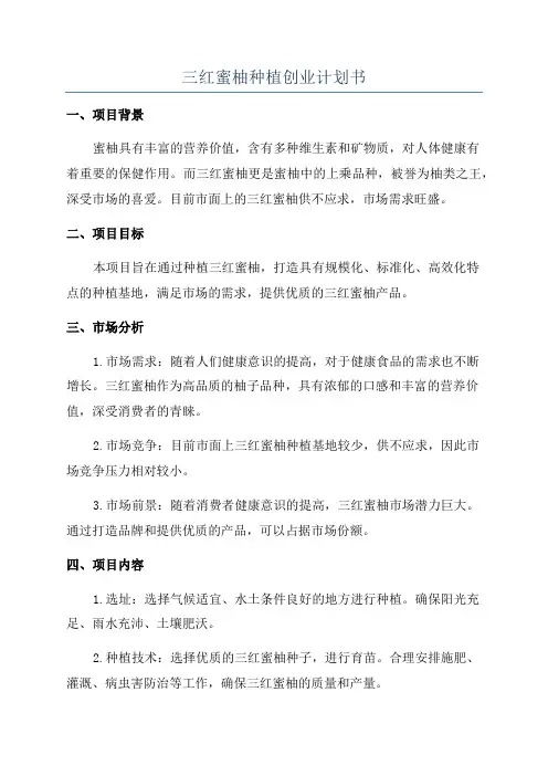 三红蜜柚种植创业计划书