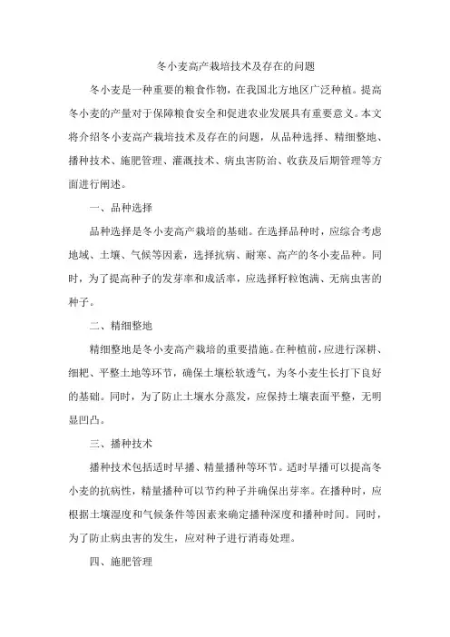 冬小麦高产栽培技术及存在的问题