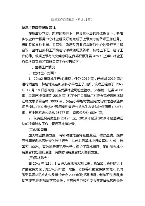 防汛工作自查报告（精选18篇）