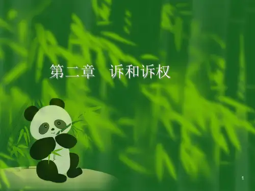 诉和诉权专题知识讲座