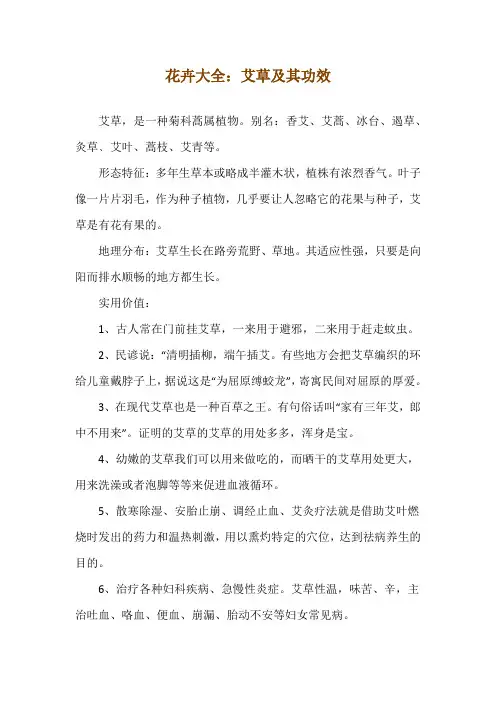 花卉大全：艾草及其功效