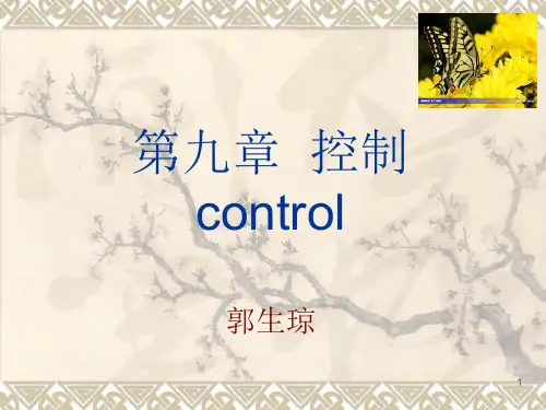 护理管理学第九章控制