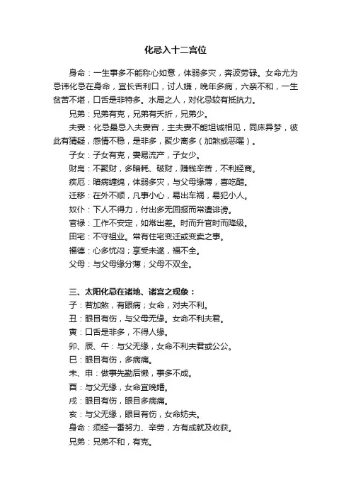 化忌入十二宫位
