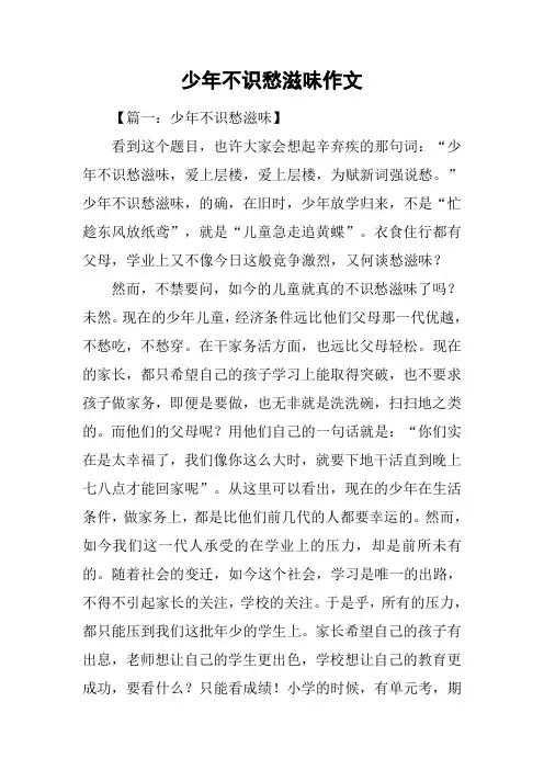 少年不识愁滋味作文-1