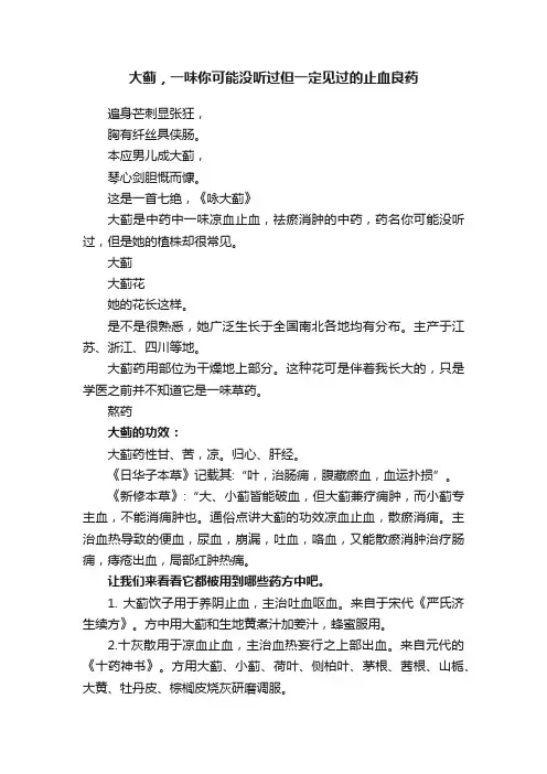 大蓟，一味你可能没听过但一定见过的止血良药