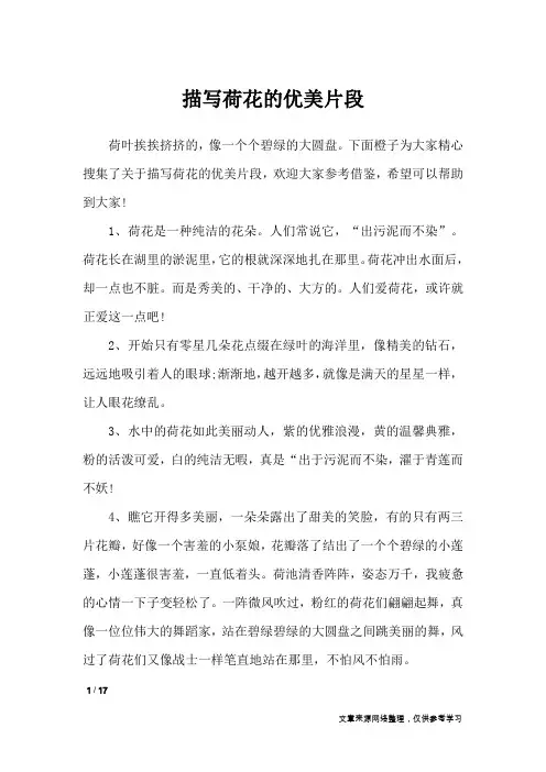 描写荷花的优美片段_经典语句