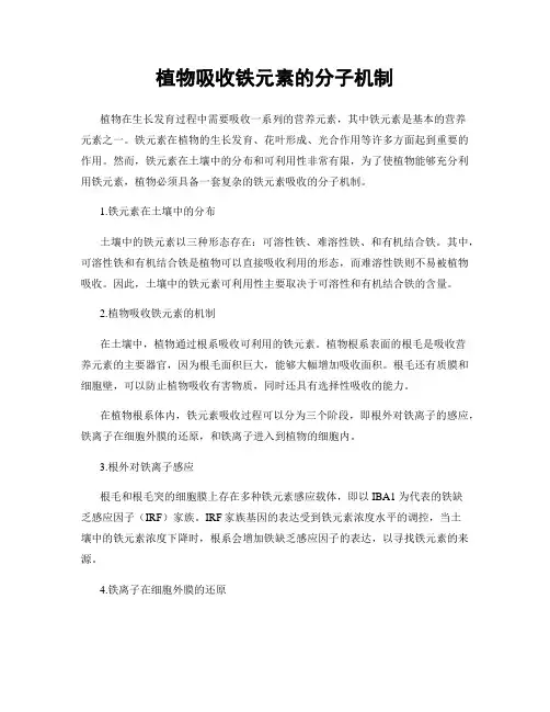 植物吸收铁元素的分子机制