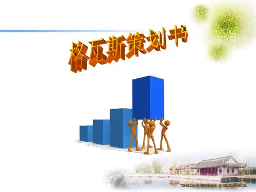 格瓦斯策划书