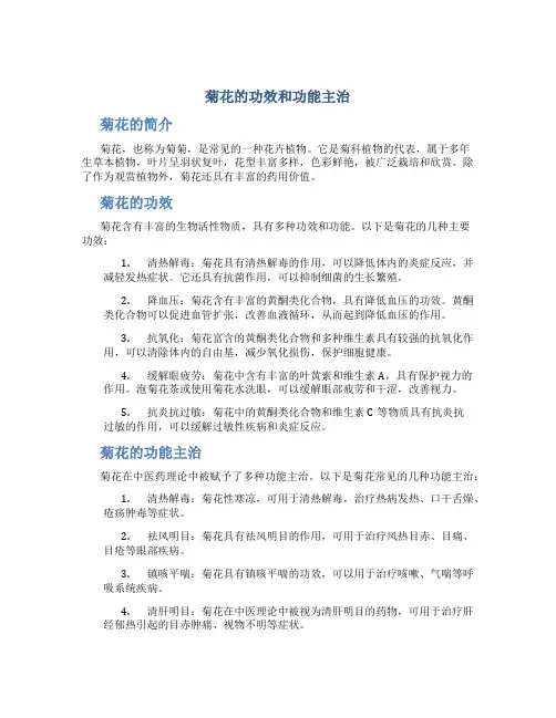菊花的功效和功能主治是什么