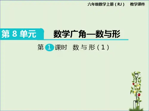人教版小学数学六年级上册：第1课时 数与形(1)课件