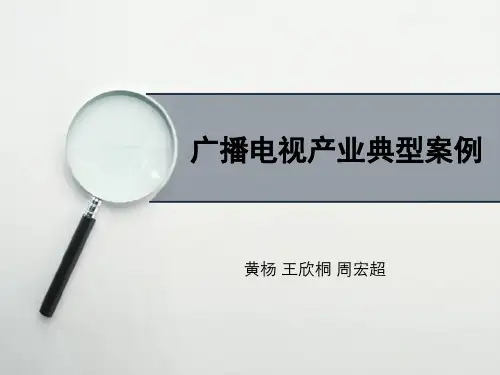 广播电视产业典型案例分析
