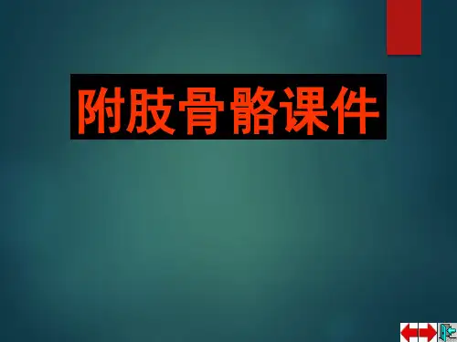 系统解剖学之四肢骨