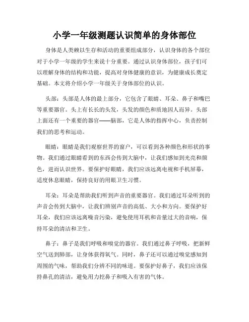 小学一年级测题认识简单的身体部位