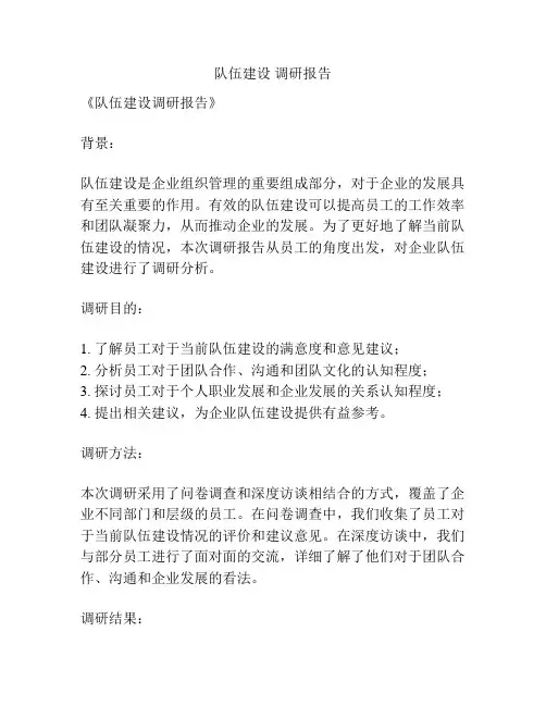 队伍建设 调研报告