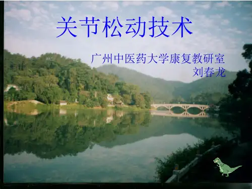 关节松动术ppt课件