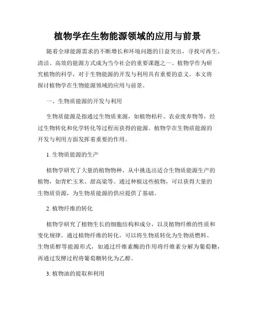 植物学在生物能源领域的应用与前景