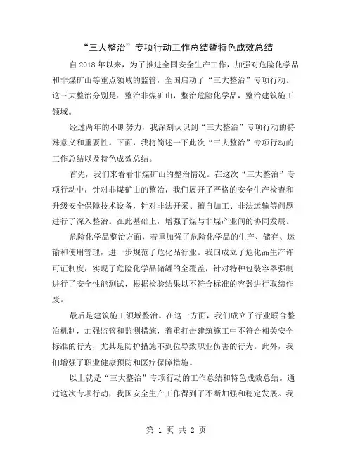 “三大整治”专项行动工作总结暨特色成效总结