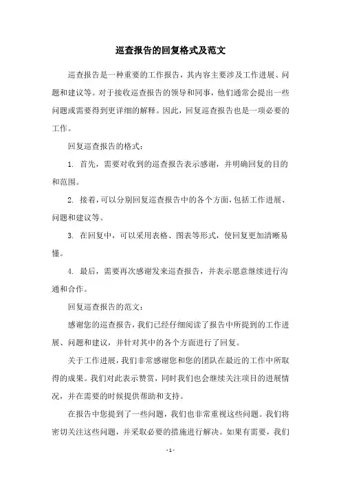 巡查报告的回复格式及范文