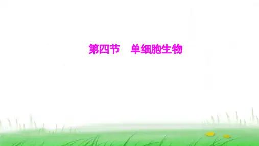 人教版七年级生物上册第一单元第三章第四节单细胞生物课件