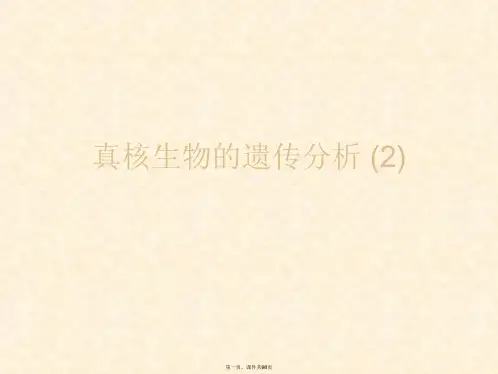 真核生物的遗传分析 (2)