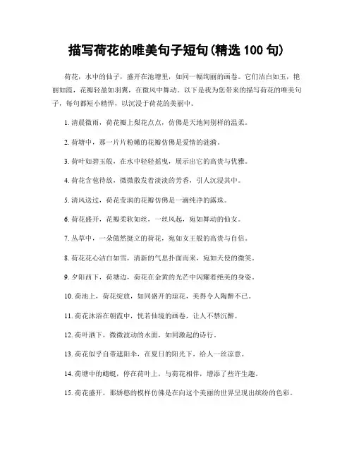 描写荷花的唯美句子短句(精选100句)
