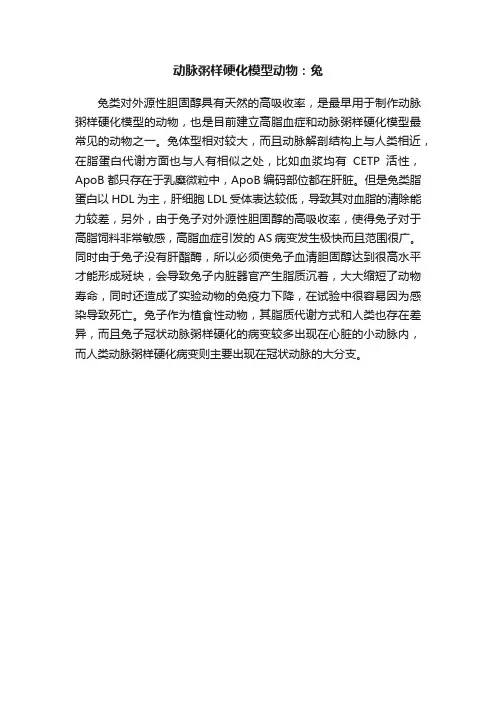 动脉粥样硬化模型动物：兔