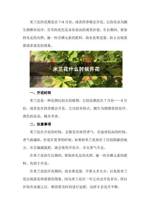米兰花什么时候开花