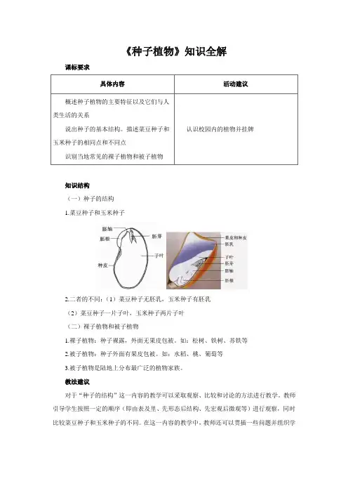 七年级生物上册《种子植物》知识全解