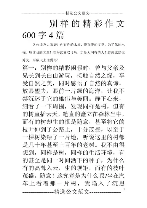 别样的精彩作文600字4篇