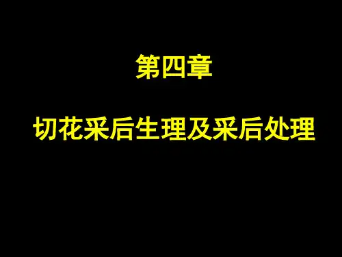 04  第四章  切花采后生理及采后处理