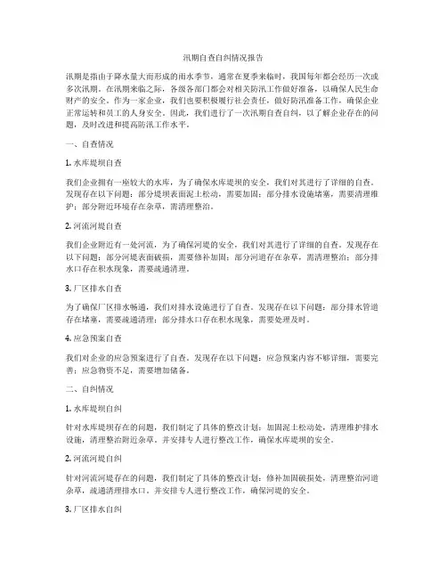 汛期自查自纠情况报告