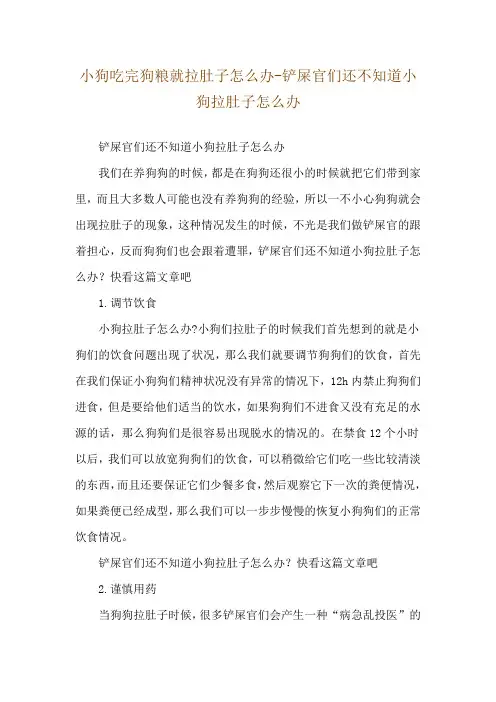小狗吃完狗粮就拉肚子怎么办-铲屎官们还不知道小狗拉肚子怎么办