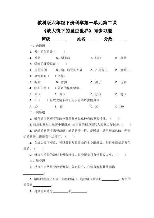 教科版六年级下册科学第一单元第二课《放大镜下的昆虫世界》同步习题