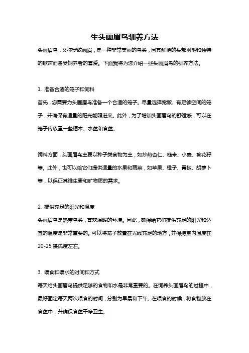 生头画眉鸟驯养方法