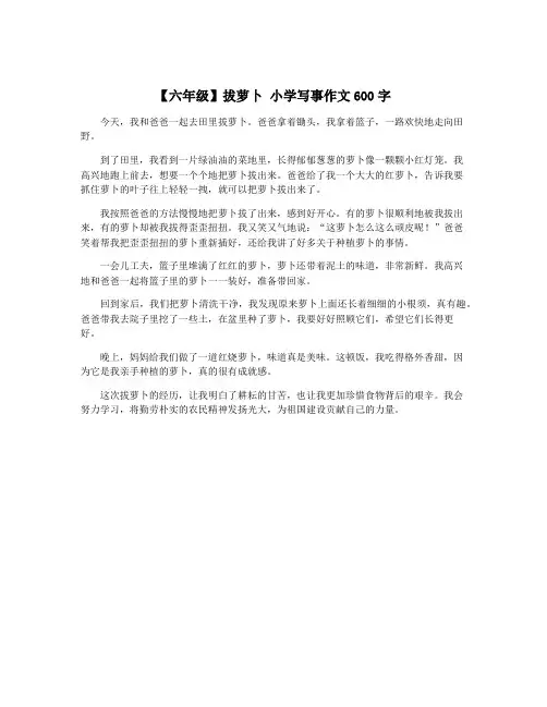 【六年级】拔萝卜 小学写事作文600字
