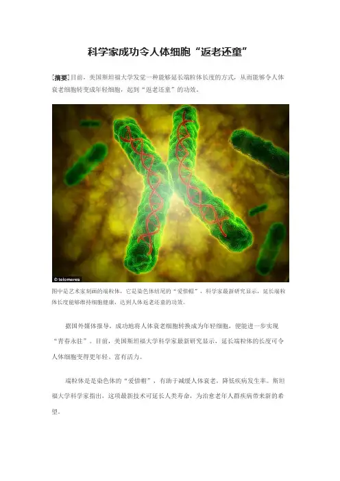 科学家成功令人体细胞“返老还童”