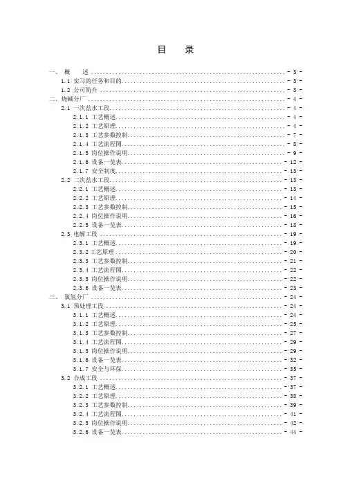 神马氯碱发展有限公司暑期社会实践报告
