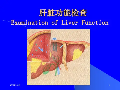 肝脏功能检查ppt课件