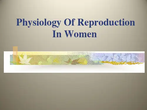 女性生殖生理学 PPT课件