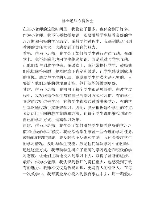 当小老师心得体会