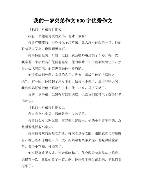 我的一岁弟弟作文500字优秀作文