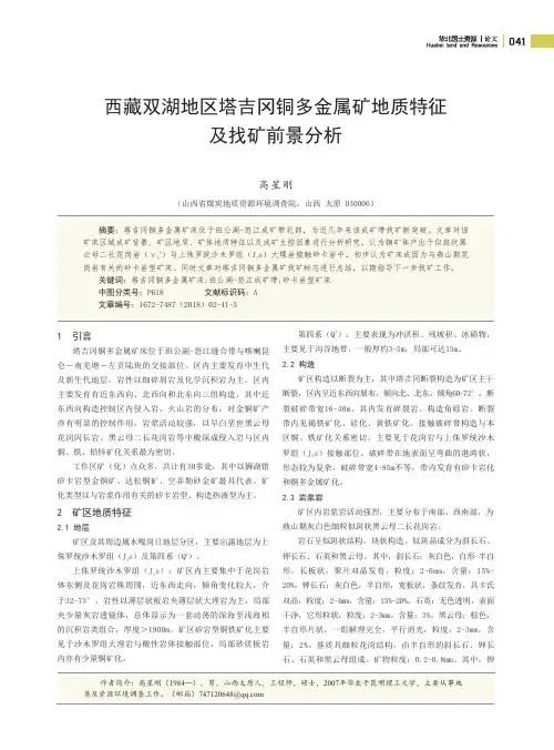 西藏双湖地区塔吉冈铜多金属矿地质特征及找矿前景分析