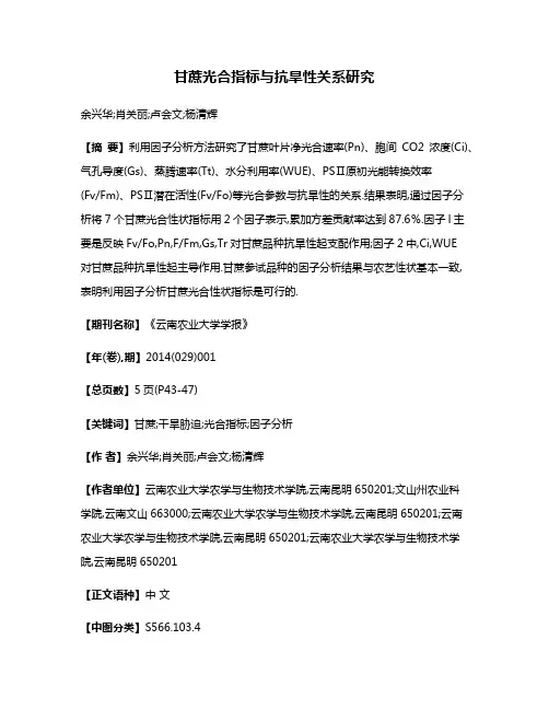甘蔗光合指标与抗旱性关系研究